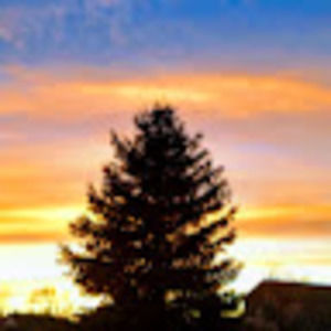 Meet your Posher, Syd